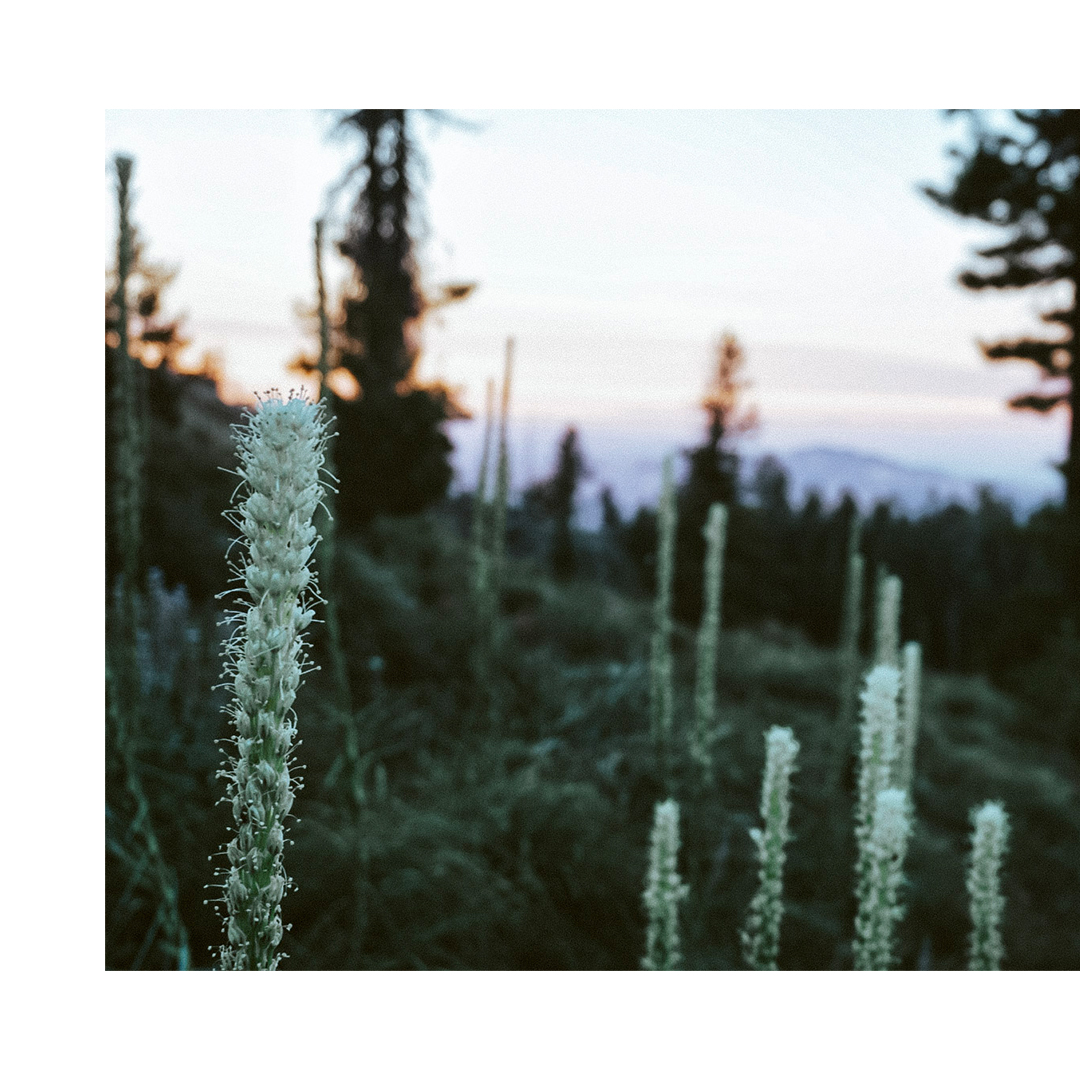 Positive Impact Through Graphic Design